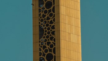 ОАЭ не только пляжи: Туроператоры удивляют экскурсиями на верблюдах и небоскрёбах!