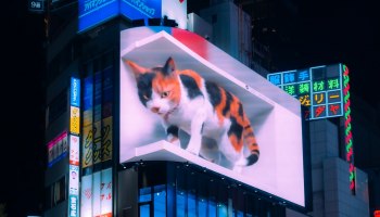 Мяу-сервис 2026: Робо-коты и мысли в подарок &mdash; отель будущего в Токио
