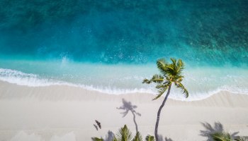 Застрявшие в раю: Air Tanzania вывезет последних туристов с Занзибара в воскресенье