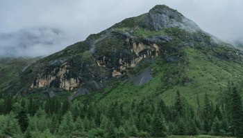 Большие автобусы теряют ход: почему туристы в 2025 выбирают мини‑группы и что будет с ценами