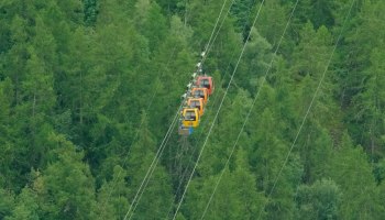 Бесплатные дети, Билан и 500 рублей: что Мантера приготовила семьям в Сочи