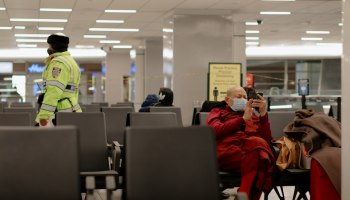Турция лидирует, Египет наступает: итоги года от &laquo;ЕВРОИНС&raquo;