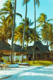 All Inclusive на Занзибаре: Турция отдыхает? Честный разбор системы 2026