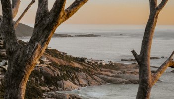 Club Med открывает первый премиум-курорт в ЮАР: пляжи + сафари = идеальный отпуск