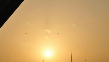 Air Arabia и &laquo;Аэрофлот&raquo; возвращаются в ОАЭ: небо между Россией и Эмиратами снова открыто