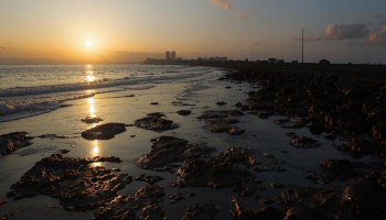 Мазутные пляжи Анапы: как &laquo;черное золото&raquo; морей превращается в яд