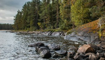 Гранд Карелия-2026: ночь в поезде, день в Кижах и мороженое с икрой ряпушки