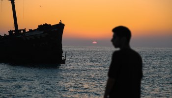 🚢 Персидский залив: Круизный бум 2025 &mdash; как выбрать лайнер и не утонуть в выборе?