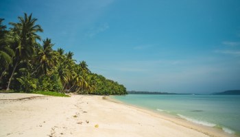 Хайнань, Нячанг, Паттайя, Сабах, Эль-Нидо: кто кого в 2026?