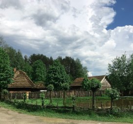 Ярославль против лагерей-невидимок: куда теперь девать детей? Ярославль против лагерей-невидимок: куда теперь девать детей?