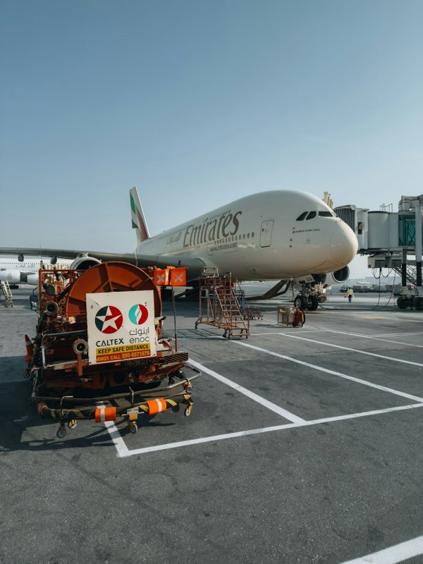 Emirates слегка подняла цены, но россияне всё равно летят в Дубай с полными чемоданами Emirates слегка подняла цены, но россияне всё равно летят в Дубай с полными чемоданами