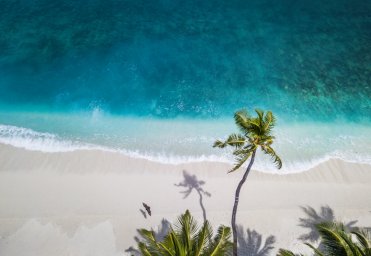 Застрявшие в раю: Air Tanzania вывезет последних туристов с Занзибара в воскресенье Застрявшие в раю: Air Tanzania вывезет последних туристов с Занзибара в воскресенье