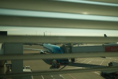 Авиатопливо взлетело: Российский туризм в зоне турбулентности