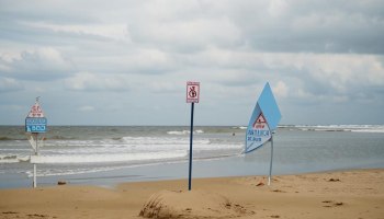 В Анапе туристов заставили подписать запрет на купание в море!