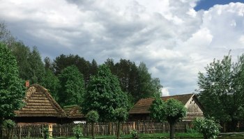 Ярославль против лагерей-невидимок: куда теперь девать детей?