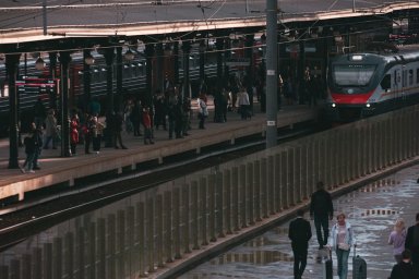 Штрафы для перекупщиков и РЖД без билетов: спасет ли это южные поездки?