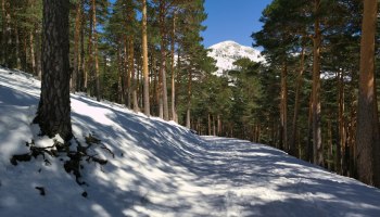 Российские биатлонисты в изгнании: IBU продлил санкции до 2026 года ⛷️❄️