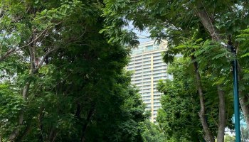 Пять зелёных оазисов Бангкока: где найти природу в мегаполисе